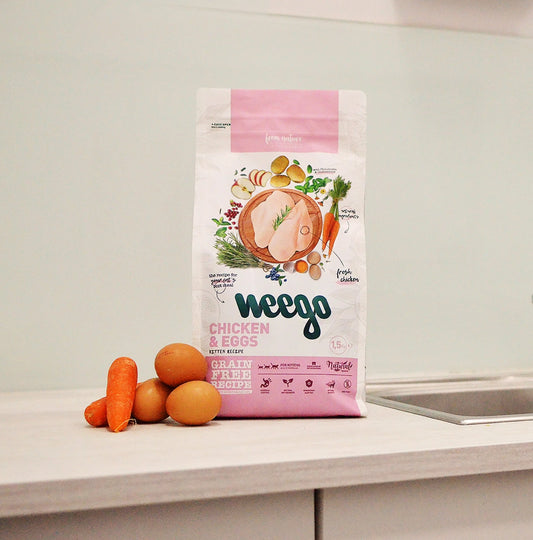 Weego Chicken & Eggs - Gatinhos