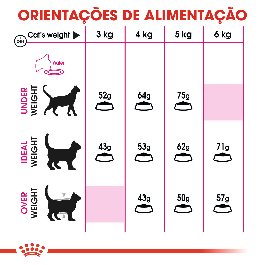 Royal Canin Protein Exigent - Ração seca para gatos exigentes