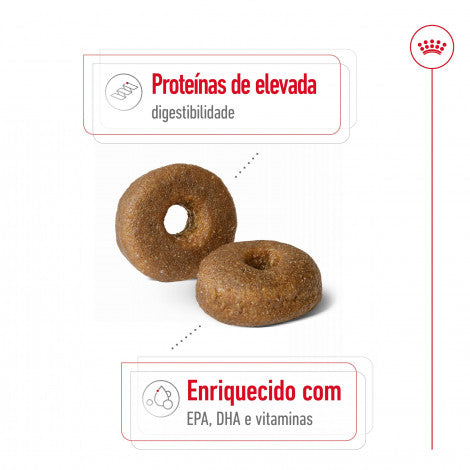 Royal Canin Maxi Adult 8+ - Ração seca para cão de porte grande com mais de 8 anos