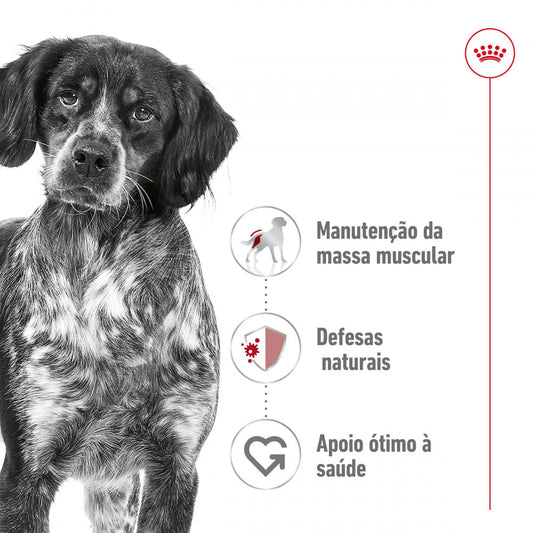 Royal Canin Medium Adult - Ração seca para cão de porte médio
