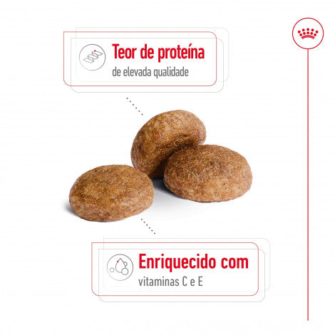 Royal Canin Medium Adult 7+ - Raçao seca para cão de raça média com mais de 7 anos