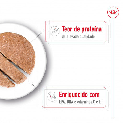 Royal Canin Medium Ageing 7+ - Alimento húmido para cão de porte médio