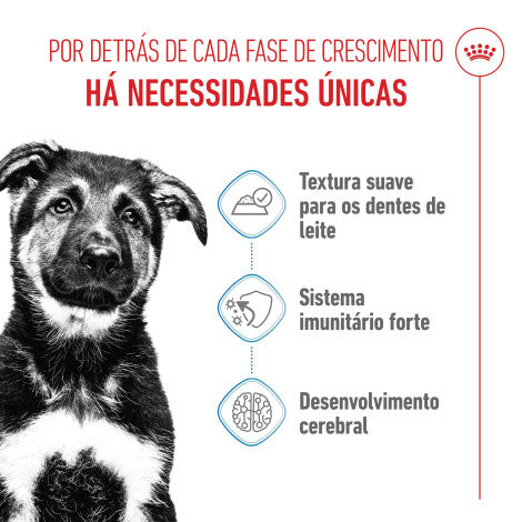 Royal Canin Puppy Maxi - Alimento húmido para cachorro de porte grande