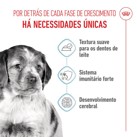 Royal Canin Puppy Medium - Alimento em molho para cachorro de porte médio