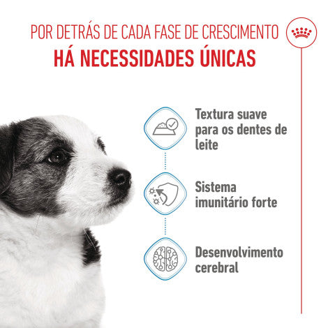 Royal Canin Puppy Mini - Alimento húmido para cachorro de porte mini