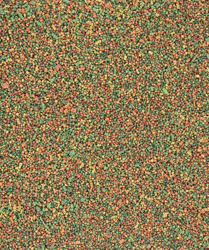 NutriBird C19 - Versele-Laga