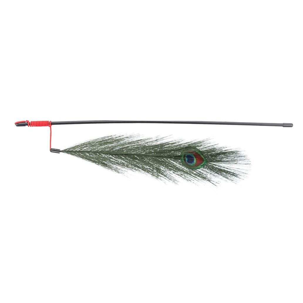 Cana com pena de pavão