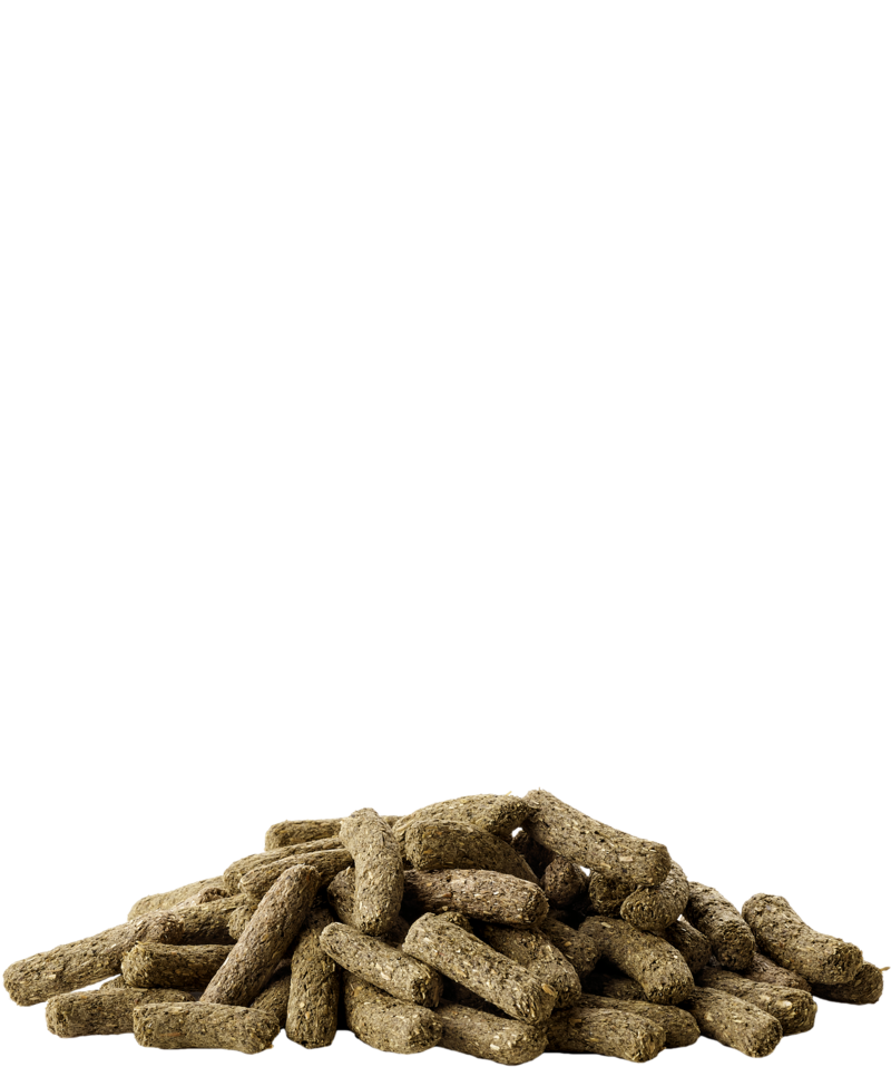 Alimento Chinchila & Degu Complete - Versele-Laga