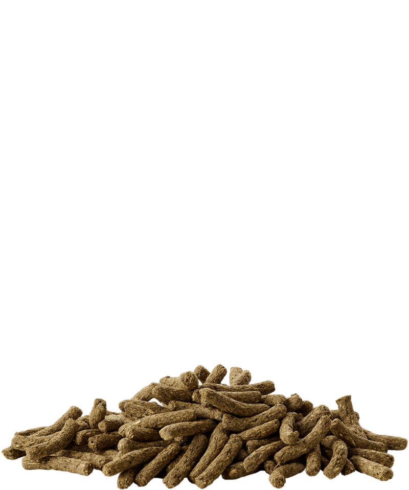 Versele Laga Cuni Junior Complete - Ração para coelhos anões até aos 8 meses