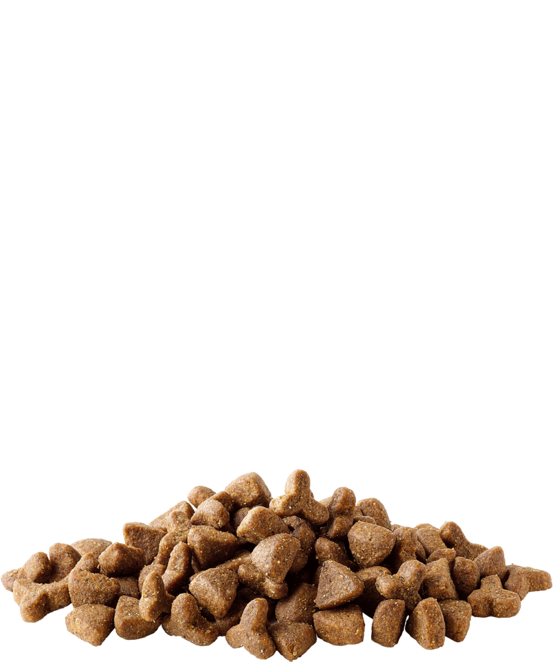 Versele-Laga Complete Ferret- Alimento completo para furões