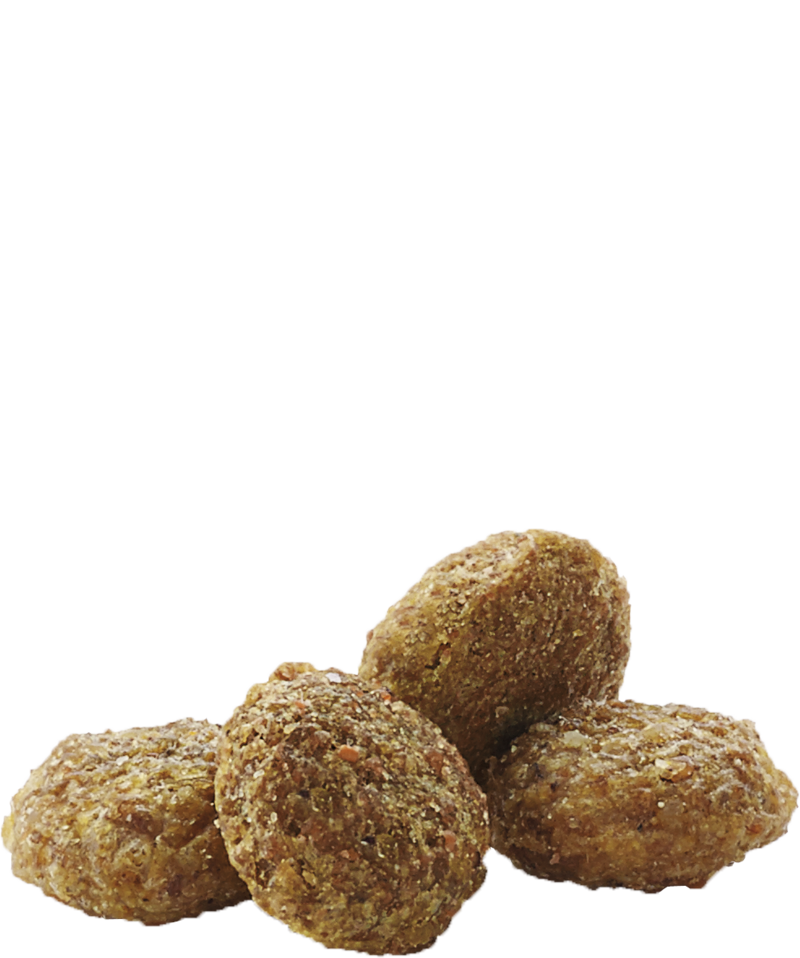 Versele-Laga Complete Hamster & Gerbil