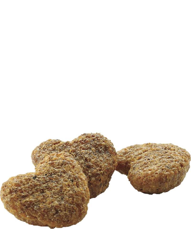 Versele-Laga Complete Rat & Mouse