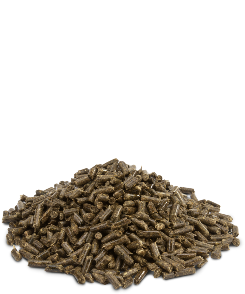 Versele Laga Crispy Pellets Chinchillas & Degus