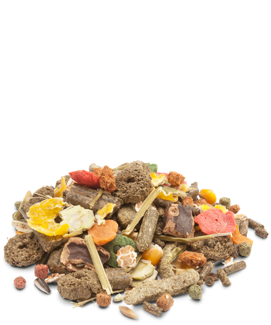 Versele Laga Crispy Muesli Rabbits - Mistura para coelhos