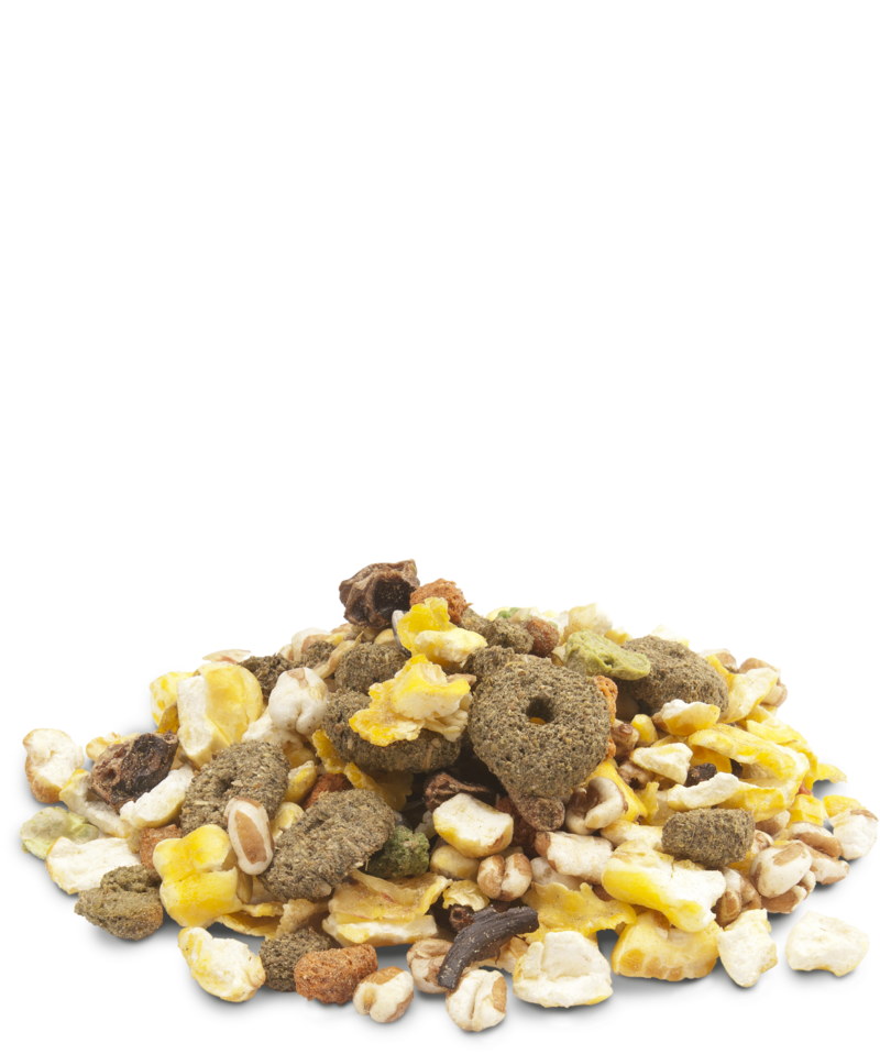 Versele Laga Crispy Snack Popcorn para roedores