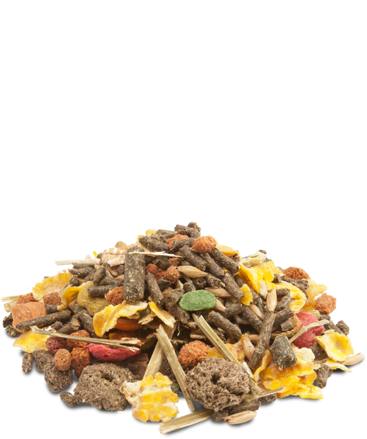 Versele Laga Crispy Muesli Guinea Pigs - Mistura para porquinhos-da-índia