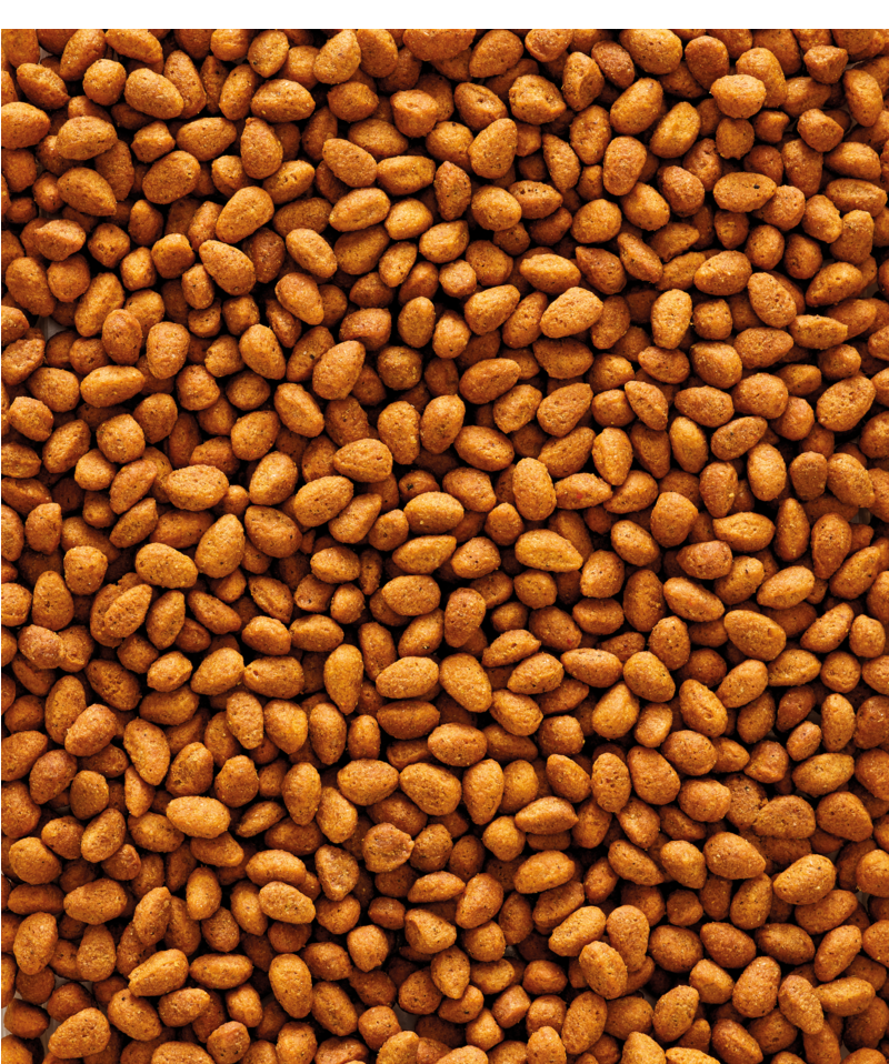 NutriBird G14 Original - Versele-Laga