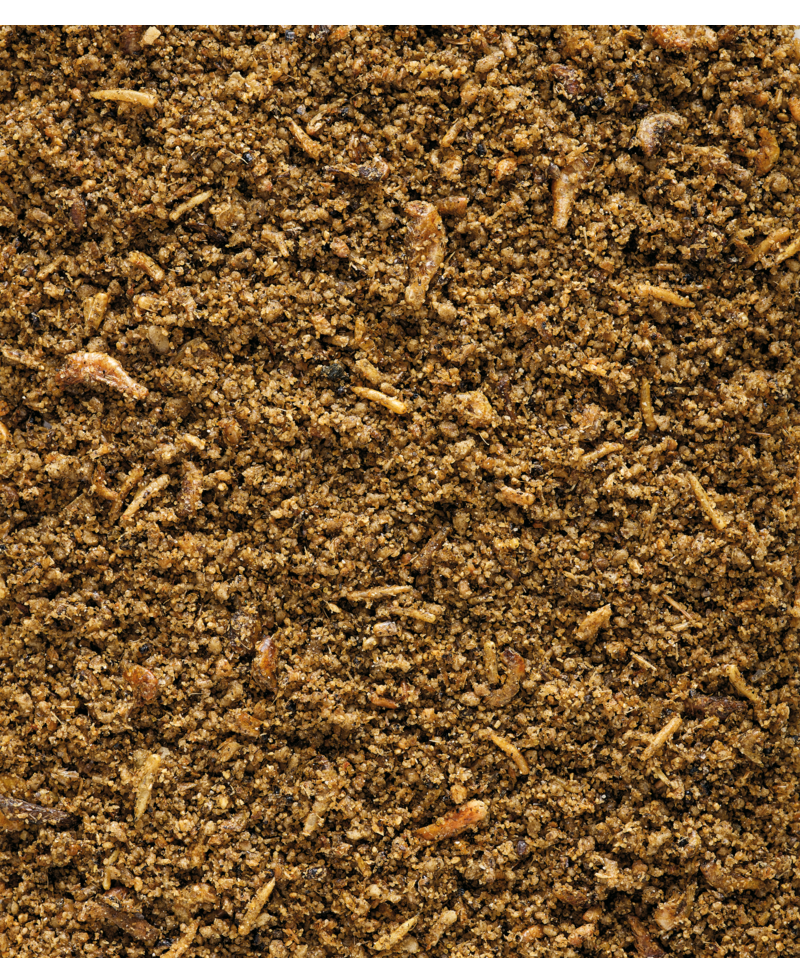 Orlux Insect Patee - Versele-Laga