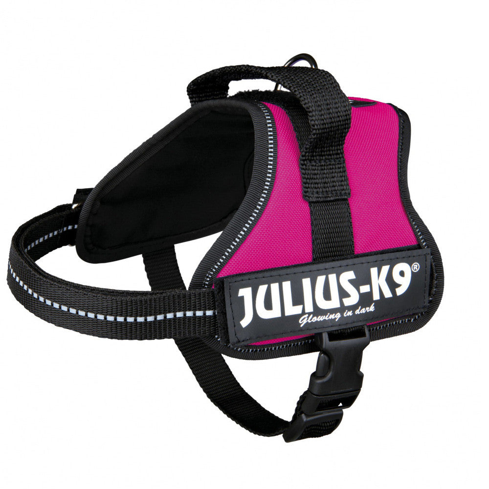 Julius K-9 Peitoral para cão - Fuchsia
