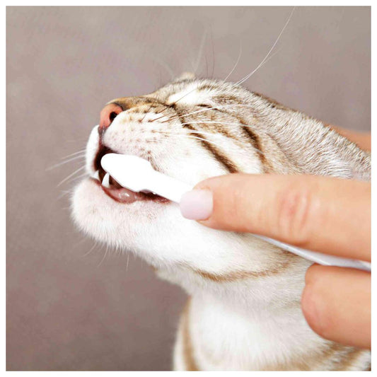 Conjunto de higiene dentária para gatos - Trixie