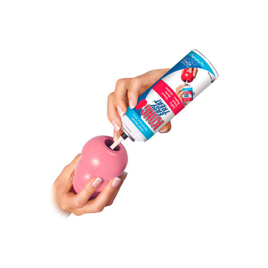 KONG - Easy Treat Puppy