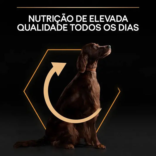 Pro Plan Everyday Nutrition Large Athletic Adult - Ração seca para cão adulto de porte grande - Sabor a Frango