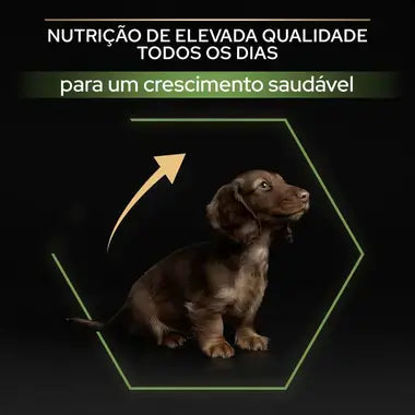 Pro Plan Healthy Start Small & Mini Puppy - Ração seca para cachorro de porte pequeno - Sabor a frango