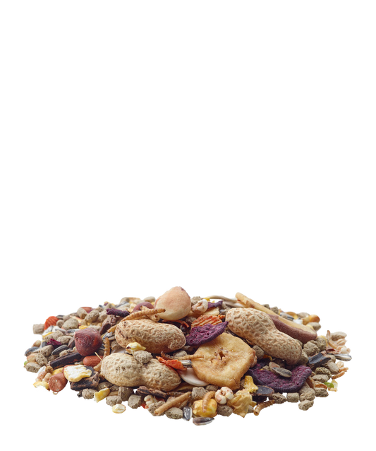 Versele Laga Nature Chip - Mistura variada para esquilos