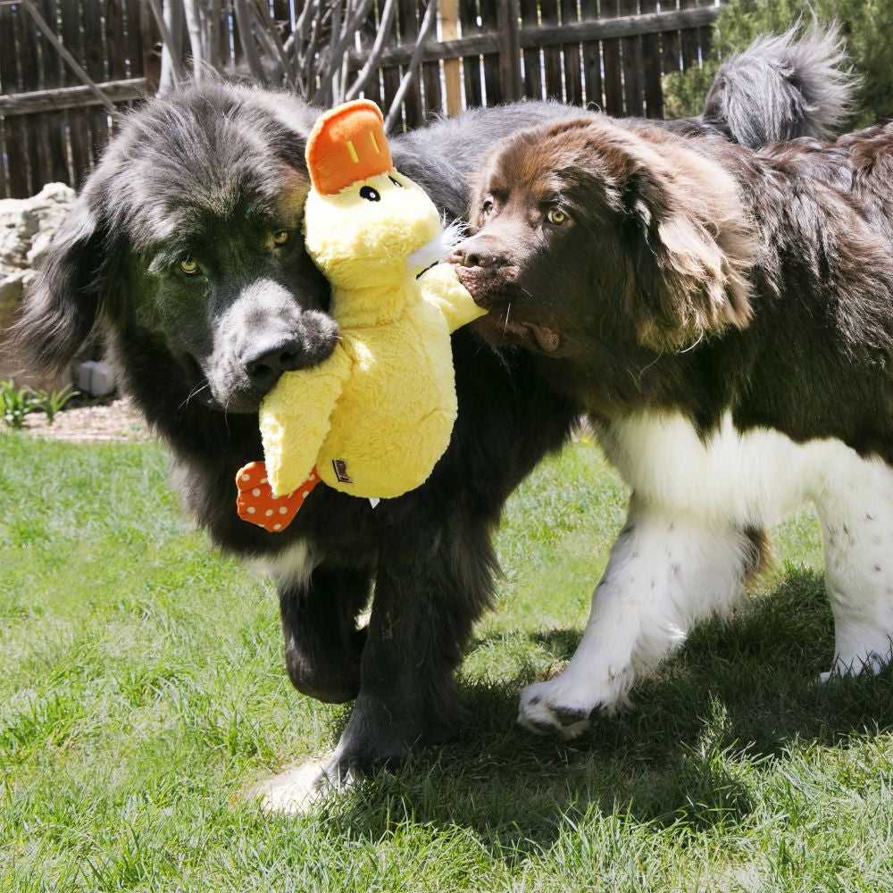 Kong Conforto Jumbo - Peluche grande para cães