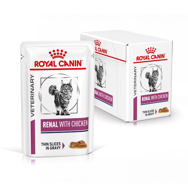 Royal Canin VET Renal - Alimento em molho para gato com doença renal - Sabor a frango