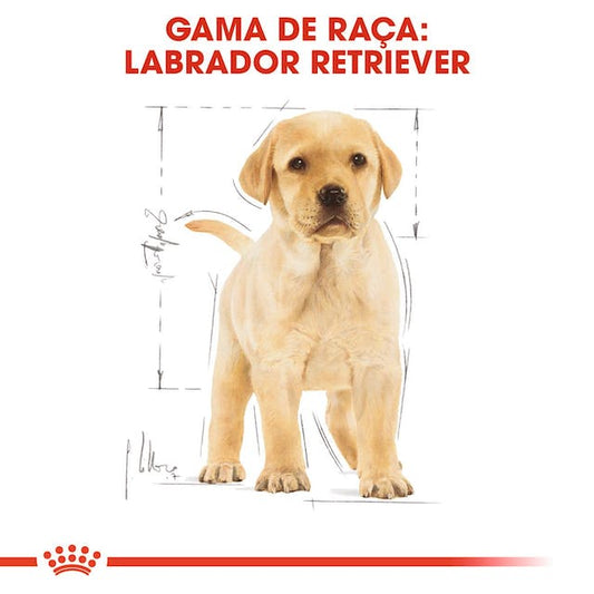 Royal Canin Labrador Retriever Puppy - Ração seca para cachorro de raça