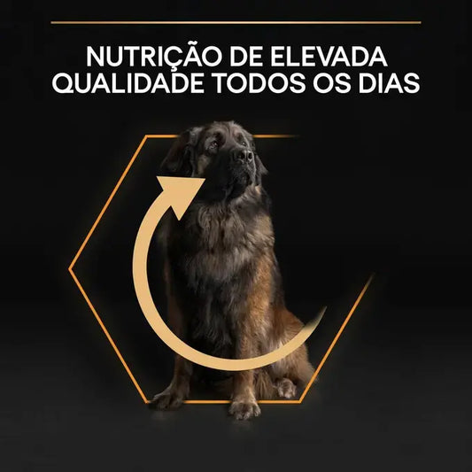 Pro Plan Everyday Nutrition Large Robust Adult - Ração seca para cão adulto de porte grande - Sabor a Frango