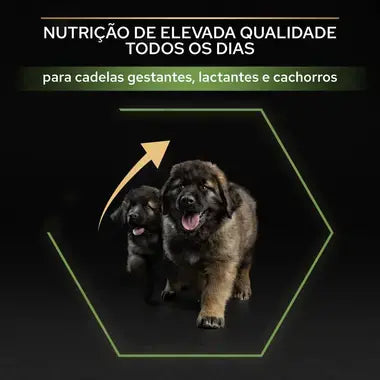Pro Plan Healthy Start Large Robust Puppy - Ração seca para cachorro de porte grande - Sabor a Frango