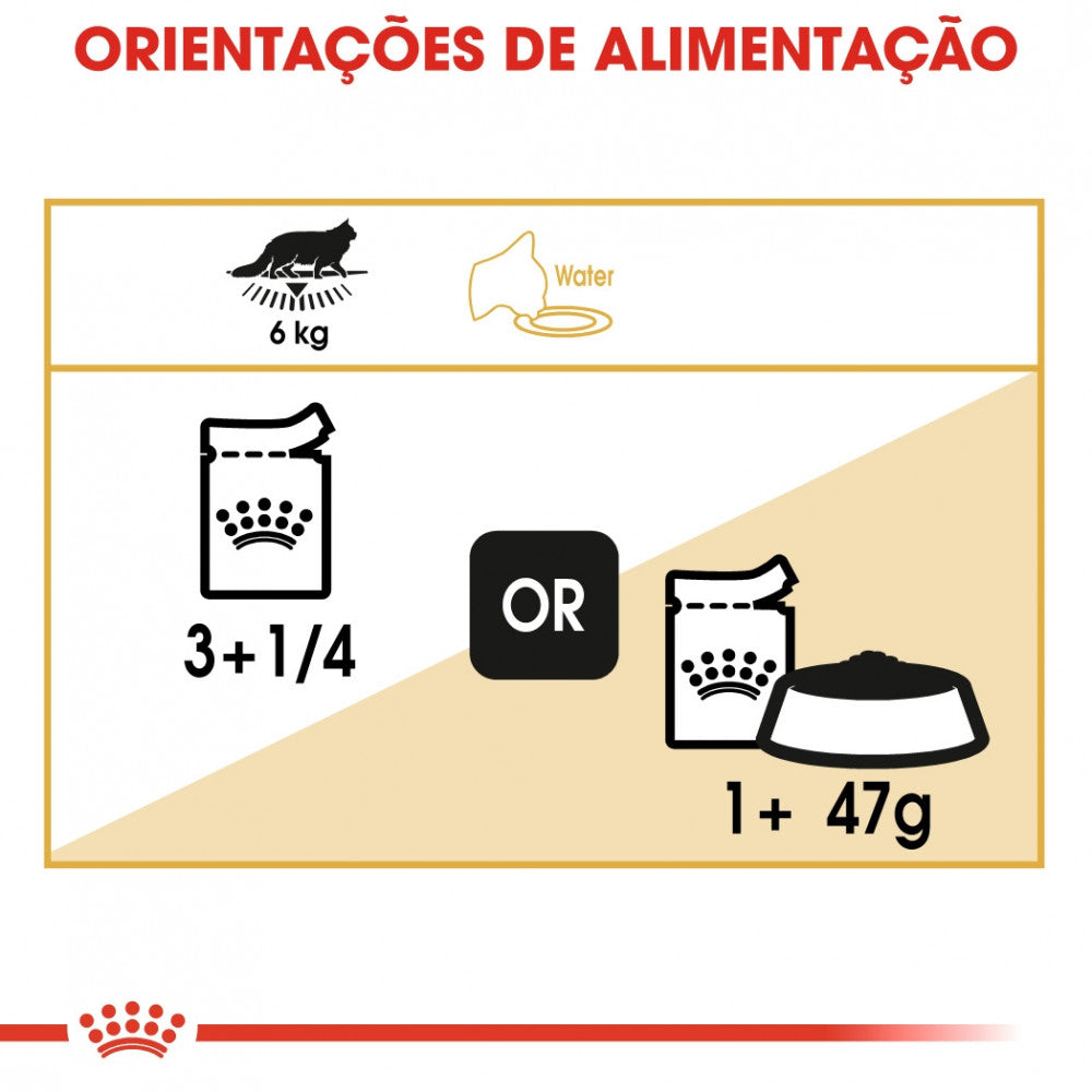 Royal Canin Maine Coon - Alimento húmido em molho para gatos de raça