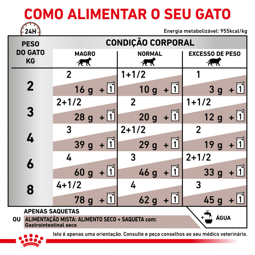 Royal Canin VET Gastrointestinal - Alimento húmido em molho para gatos com problemas digestivos