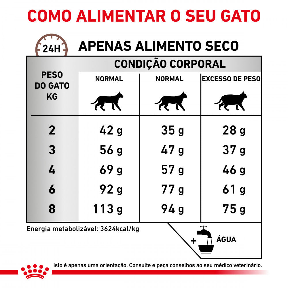 Royal Canin VET Gastrointestinal Hairball - Ração seca para gatos com problemas digestivos