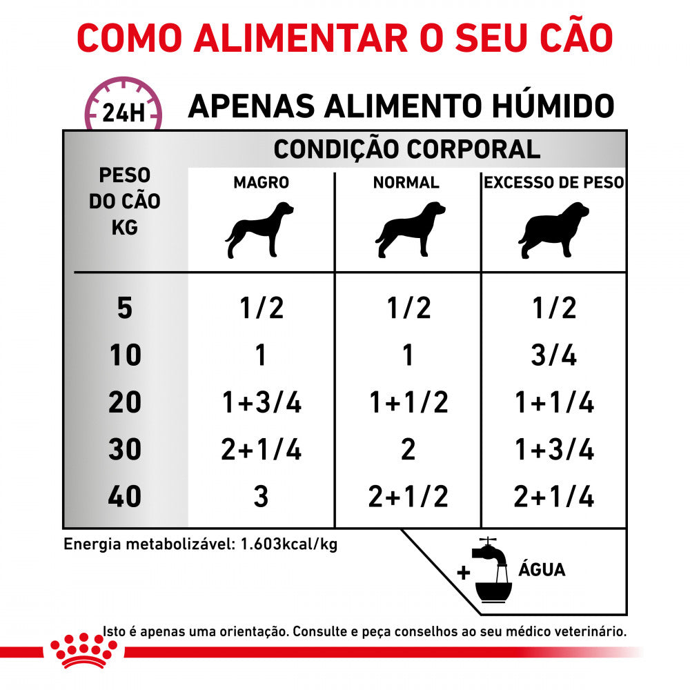 Royal Canin VET Renal Special Loaf - Alimento húmido para cão com doença renal
