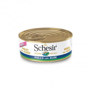 Schesir Cão puppy - Frango com aloé vera em gelatina