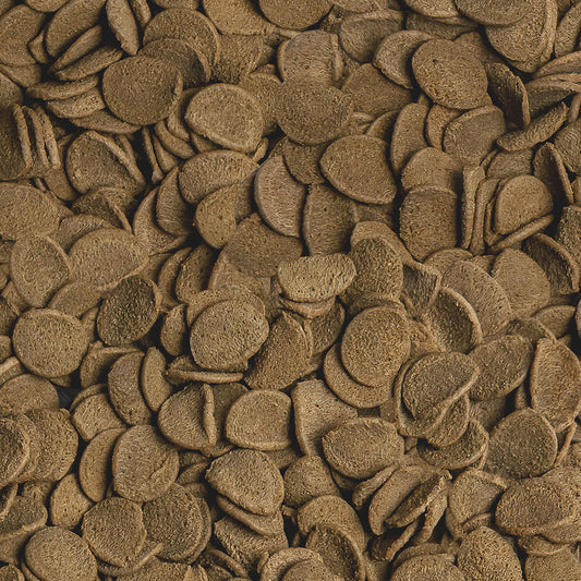 Sera Vipachips Wafers - Alimento para peixes de fundo