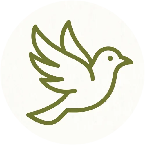 Aves