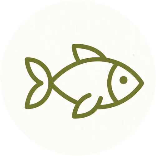Peixes