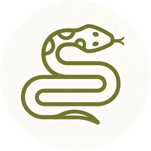 Répteis
