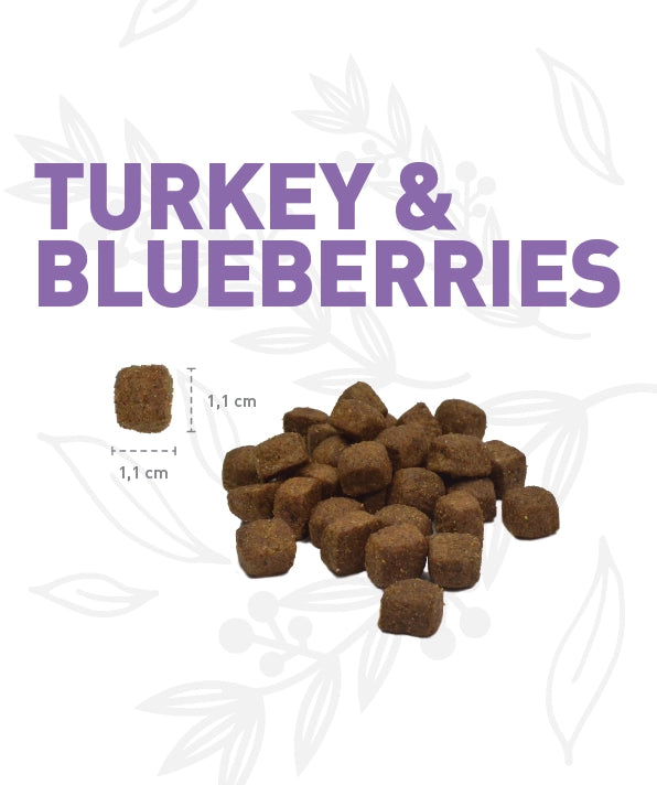 Weego Turkey & Blueberries - Cães com +7 Anos