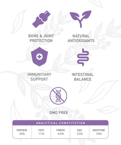 Weego Turkey & Blueberries - Cães com +7 Anos