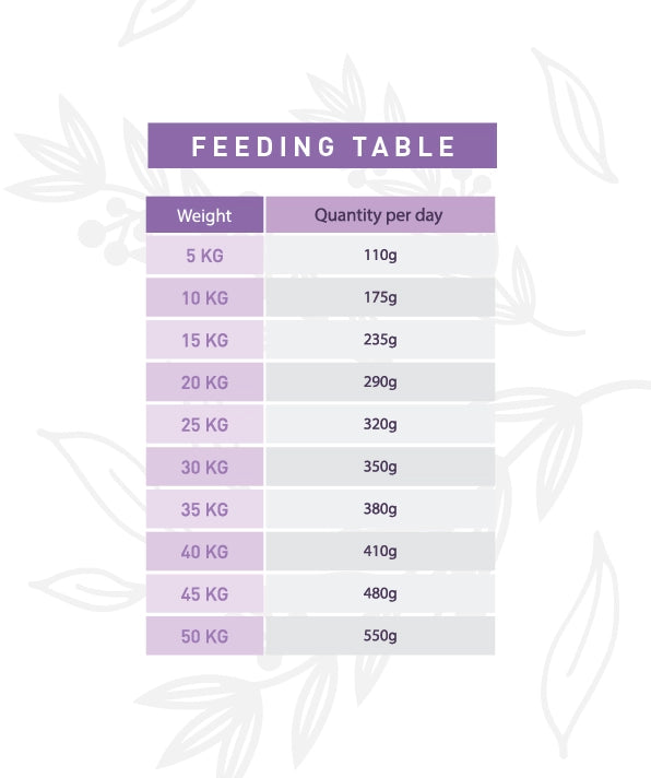 Weego Turkey & Blueberries - Cães com +7 Anos