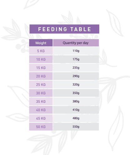 Weego Turkey & Blueberries - Cães com +7 Anos