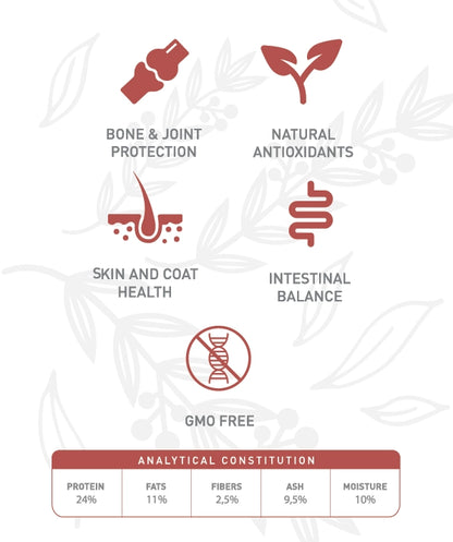 Weego Lamb & Goji - Cães Adultos