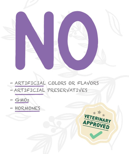 Weego Turkey & Blueberries - Cães com +7 Anos