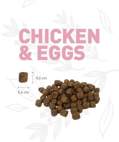 Weego Chicken & Eggs - Gatinhos