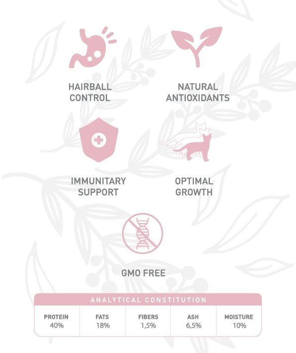 Weego Chicken & Eggs - Gatinhos